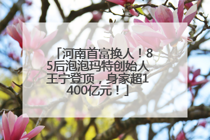 河南首富换人！85后泡泡玛特创始人王宁登顶，身家超1400亿元！