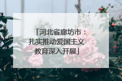 河北省廊坊市：扎实推动爱国主义教育深入开展