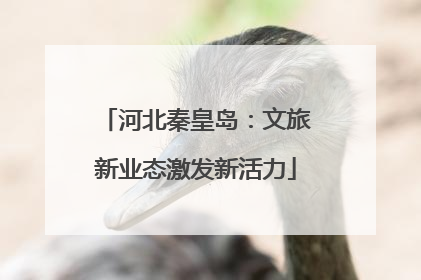 河北秦皇岛：文旅新业态激发新活力