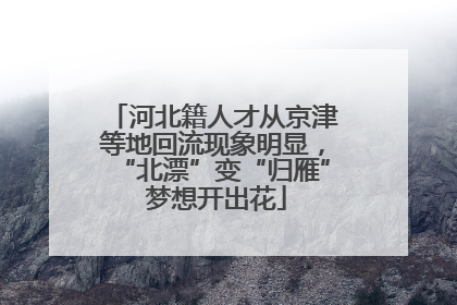 河北籍人才从京津等地回流现象明显，“北漂”变“归雁” 梦想开出花