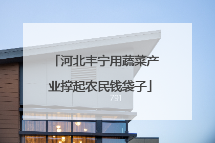 河北丰宁用蔬菜产业撑起农民钱袋子