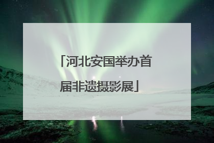 河北安国举办首届非遗摄影展