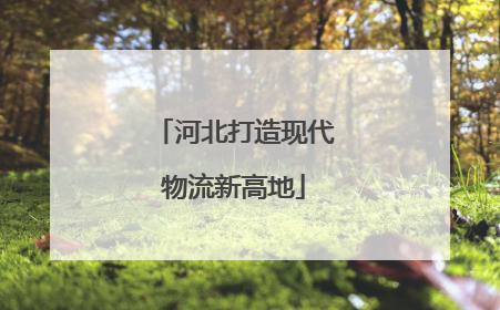 河北打造现代物流新高地