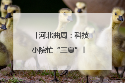 河北曲周：科技小院忙“三夏”