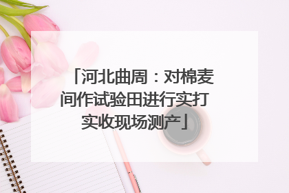 河北曲周：对棉麦间作试验田进行实打实收现场测产