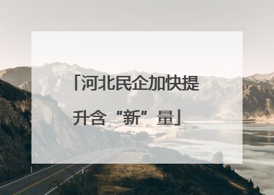 河北民企加快提升含“新”量