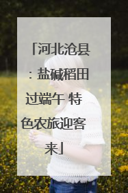 河北沧县：盐碱稻田过端午 特色农旅迎客来