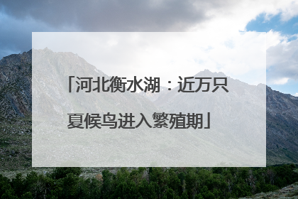 河北衡水湖：近万只夏候鸟进入繁殖期