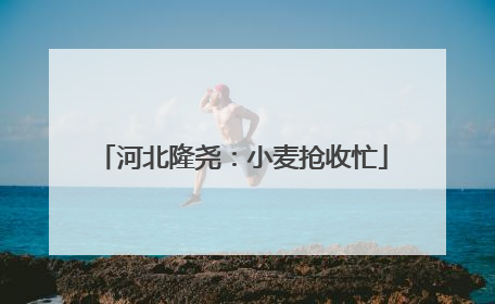 河北隆尧：小麦抢收忙