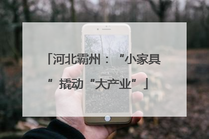 河北霸州：“小家具”撬动“大产业”