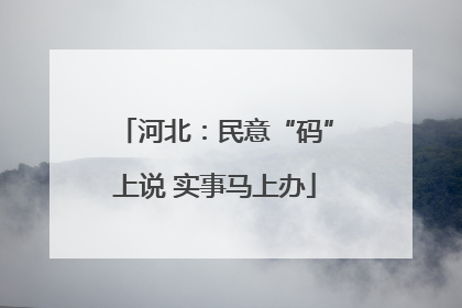 河北：民意“码”上说 实事马上办