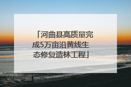 河曲县高质量完成5万亩沿黄线生态修复造林工程
