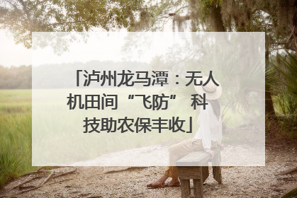 泸州龙马潭：无人机田间“飞防” 科技助农保丰收