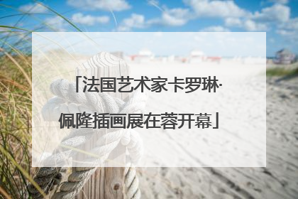 法国艺术家卡罗琳·佩隆插画展在蓉开幕