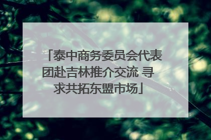 泰中商务委员会代表团赴吉林推介交流 寻求共拓东盟市场