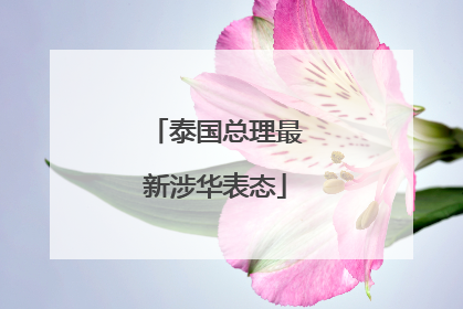 泰国总理最新涉华表态