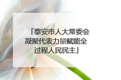 泰安市人大常委会凝聚代表力量赋能全过程人民民主