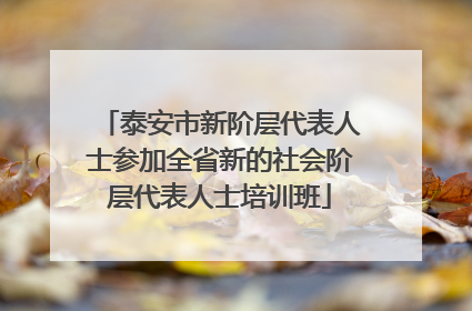 泰安市新阶层代表人士参加全省新的社会阶层代表人士培训班