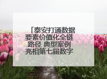 泰安打通数据要素价值化全链路径 典型案例亮相第七届数字中国建设峰会