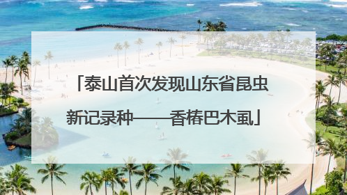 泰山首次发现山东省昆虫新记录种——香椿巴木虱