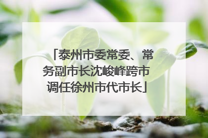 泰州市委常委、常务副市长沈峻峰跨市调任徐州市代市长