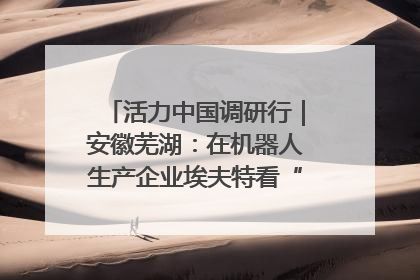 活力中国调研行｜安徽芜湖：在机器人生产企业埃夫特看“中国智造”