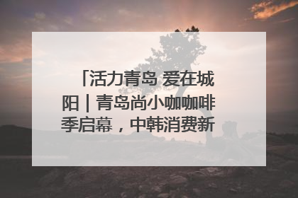 活力青岛 爱在城阳｜青岛尚小咖咖啡季启幕，中韩消费新场景点燃夏日热情