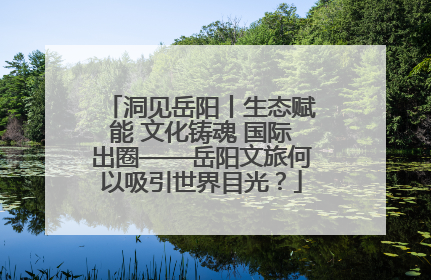洞见岳阳丨生态赋能 文化铸魂 国际出圈——岳阳文旅何以吸引世界目光？