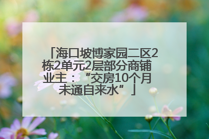 海口坡博家园二区2栋2单元2层部分商铺业主：“交房10个月未通自来水”
