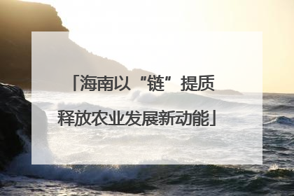 海南以“链”提质 释放农业发展新动能