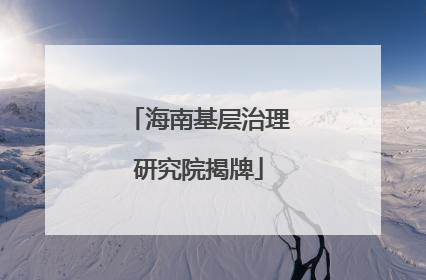 海南基层治理研究院揭牌