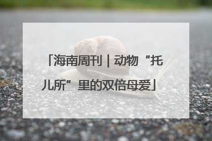 海南周刊｜动物“托儿所”里的双倍母爱