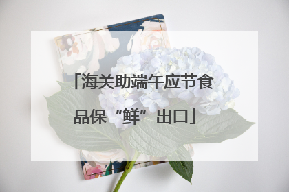 海关助端午应节食品保“鲜”出口