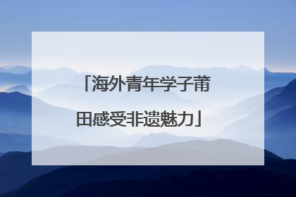 海外青年学子莆田感受非遗魅力