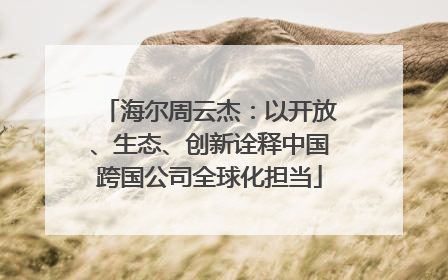 海尔周云杰：以开放、生态、创新诠释中国跨国公司全球化担当