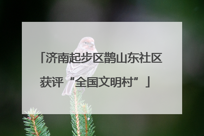 济南起步区鹊山东社区获评“全国文明村”