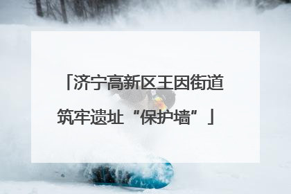 济宁高新区王因街道筑牢遗址“保护墙”