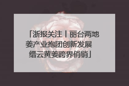 浙报关注丨丽台两地姜产业抱团创新发展 缙云黄姜跨界俏销