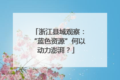 浙江县域观察：“蓝色资源”何以动力澎湃？