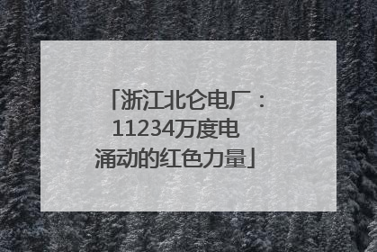 浙江北仑电厂：11234万度电涌动的红色力量
