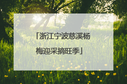 浙江宁波慈溪杨梅迎采摘旺季