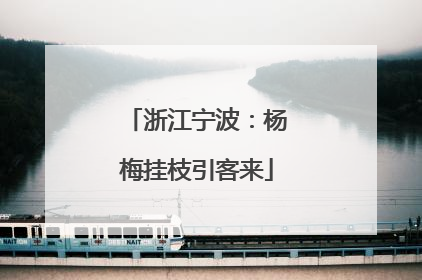 浙江宁波：杨梅挂枝引客来