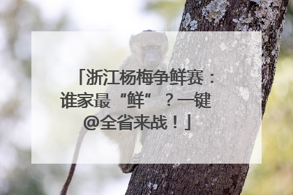 浙江杨梅争鲜赛：谁家最“鲜”？一键@全省来战！