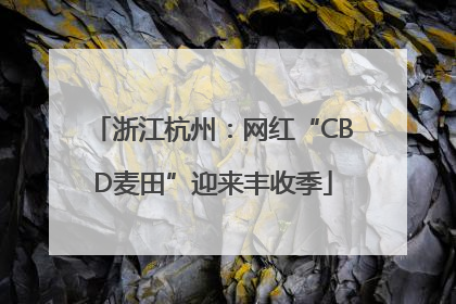 浙江杭州：网红“CBD麦田”迎来丰收季