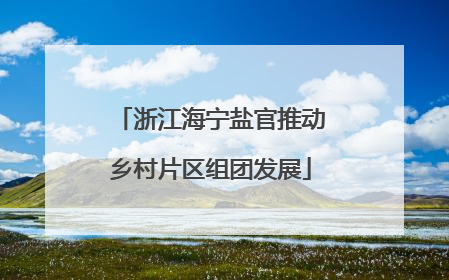 浙江海宁盐官推动乡村片区组团发展