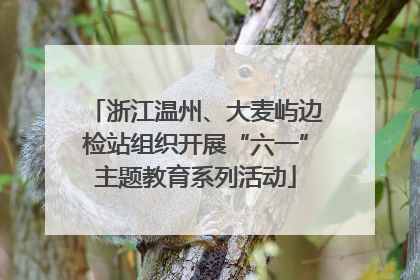 浙江温州、大麦屿边检站组织开展“六一”主题教育系列活动