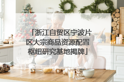 浙江自贸区宁波片区大宗商品资源配置枢纽研究基地揭牌