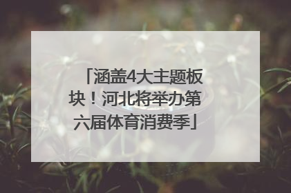 涵盖4大主题板块！河北将举办第六届体育消费季