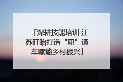 深耕技能培训 江苏盱眙打造“职”通车赋能乡村振兴