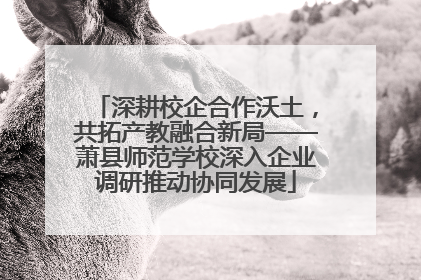 深耕校企合作沃土，共拓产教融合新局——萧县师范学校深入企业调研推动协同发展